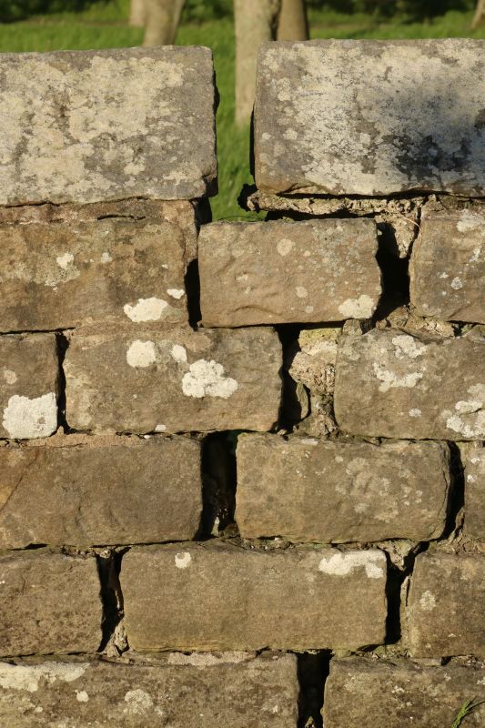 Stone Wall Repair in Sloughhouse, CA